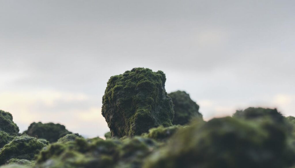 Enhanced rock weathering emerges as a scalable solution for gigatonne carbon removal